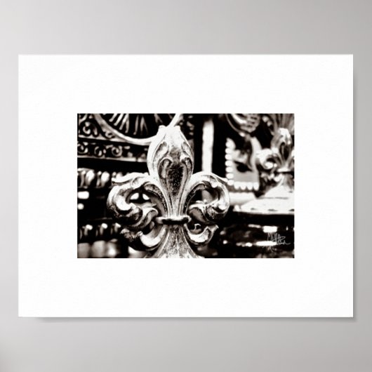 Fleur de Lis [Afdrukken] Poster (Voorkant)