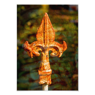 Fleur De Lis in Rust Foto Afdruk