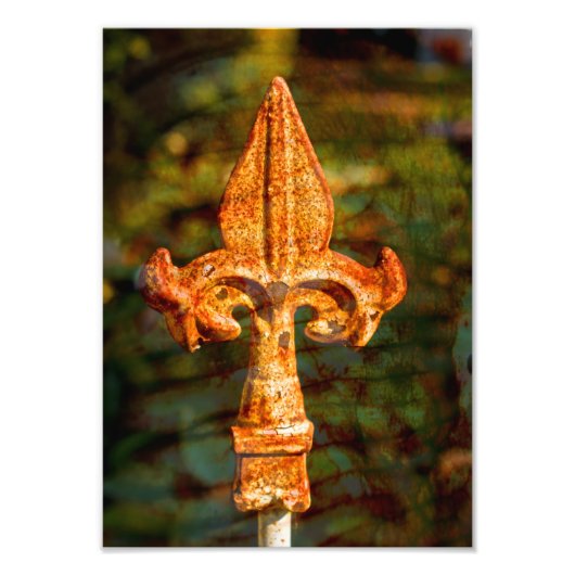 Fleur De Lis in Rust Foto Afdruk (Voorkant)