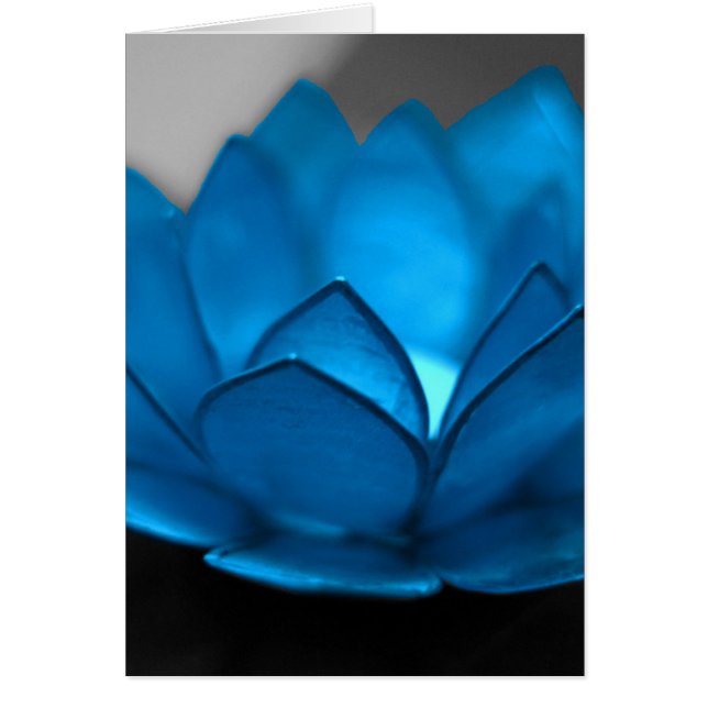 Fleur de Lotus bleu (Devant)