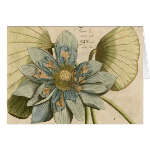 Fleur de Lotus bleu sur l'arrière - plan bronzage