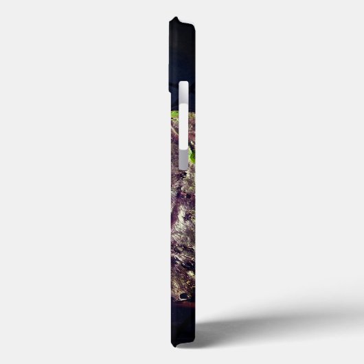 fleur de lotus en automne iPhone / coque ipad (Verso / Gauche)