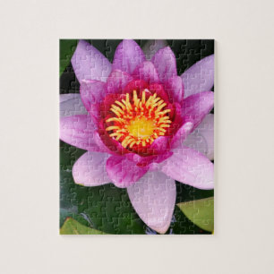 Fleur de Lotus Photo Puzzle