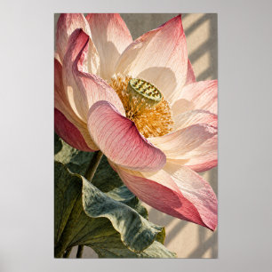 Fleur de lotus rose en gros plan - Art mural botan