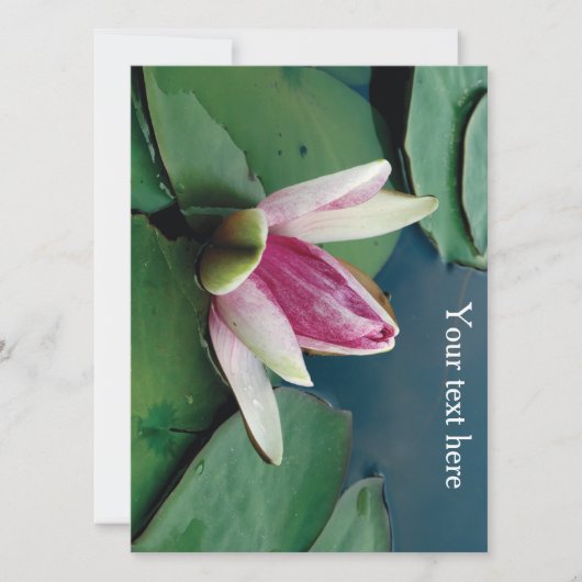 Fleur de Lotus Rose Invitation photo (Devant)