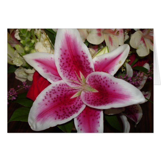 fleur de lys rose et blanc (Devant Horizontal)