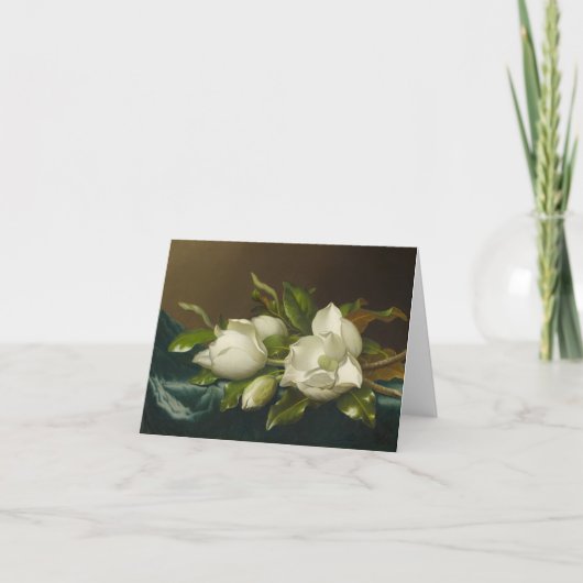 Fleur de Magnolia (Devant)