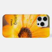 Fleur de marguerite africaine Orange Spring Flash (Verso Horizontal)