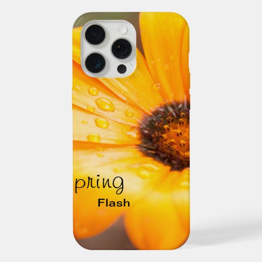 Fleur de marguerite africaine Orange Spring Flash (Verso)