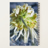 Fleur de marguerite blanche moderne Occasions spéc (Dos)