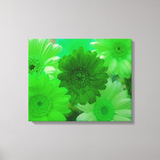 Fleur de marguerite verte toile murale Imprimer (Recto)