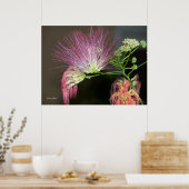 Fleur de mimosa rose avec photo poster marron (Cuisine)