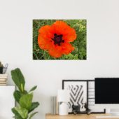 Fleur de pavot poster (Thuiskantoor)