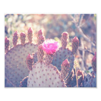 Fleur de poires | Impression photo