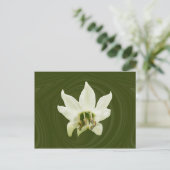 Fleur de poivre abstraite ~ carte postale (Debout devant)