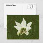 Fleur de poivre abstraite ~ carte postale (Devant / Derrière)