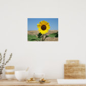 Fleur de prairie - Impression de fleurs de prairie (Cuisine)