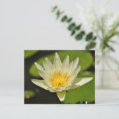 Fleur de printemps - cartes postales (Debout devant)