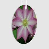 Fleur de printemps Clematis rose et blanc (devant)