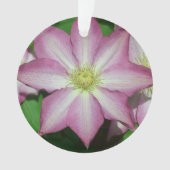 Fleur de printemps Clematis rose et blanc (devant)
