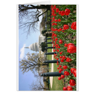 Fleur de ressort de capitol des USA