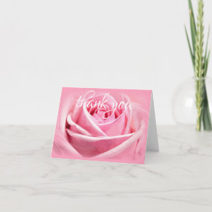 Fleur de rose aquarelle Merci Texte de script manu