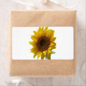 Fleur de soleil Étiquette (En situation)