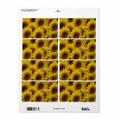 Fleur de soleil Étiquette (Feuille entière)