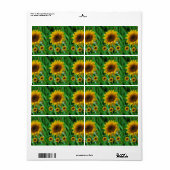 Fleur de soleil Étiquette (Feuille entière)