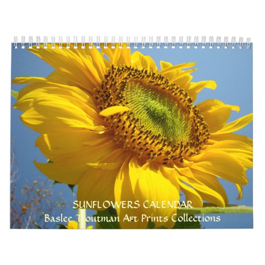 Fleur de Sun de calendrier de tournesols de (Protection)