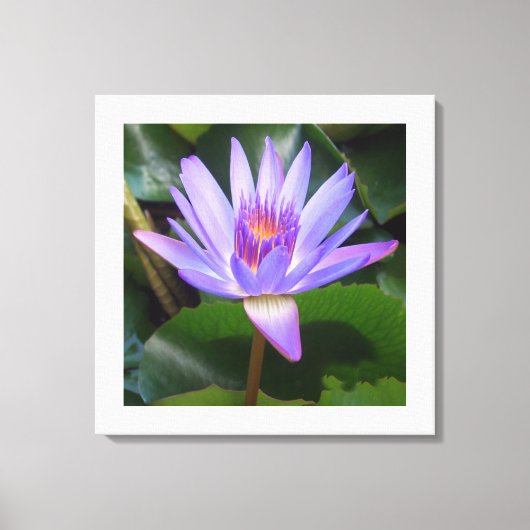 Fleur de toile Art-Lotus (Recto)