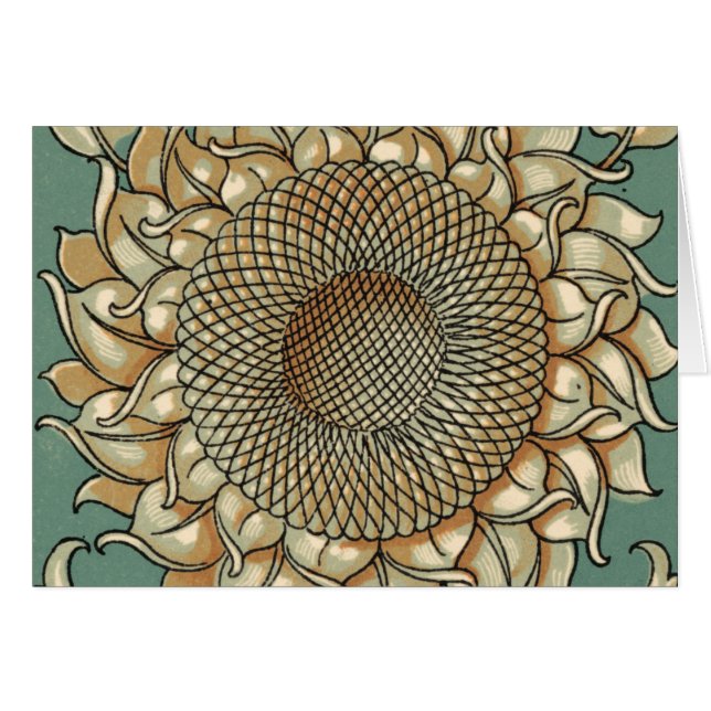 Fleur de tournesol sur Arrière - plan bleu-vert (Devant horizontal)