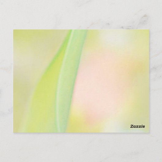 fleur de tulipe merci carte blanche (Dos)