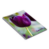 Fleur de tulipe pourpre carnet spiral (Côté Droit)
