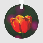 Fleur de tulipe rouge (dos)