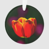 Fleur de tulipe rouge (devant)