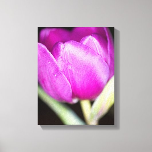 Fleur de tulipe violette Impression en toile (Recto)