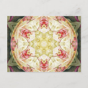 Fleur de vie Mandala 6 Cartes