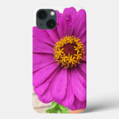 Fleur de Zinnia violette en coque iphone de fleurs (Verso)