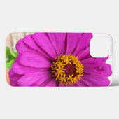 Fleur de Zinnia violette en coque iphone de fleurs (Verso (horizontal))