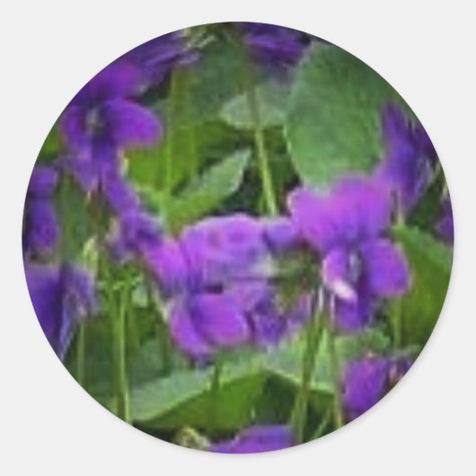 Fleur d'État du Wisconsin : Sticker violet en bois (Devant)