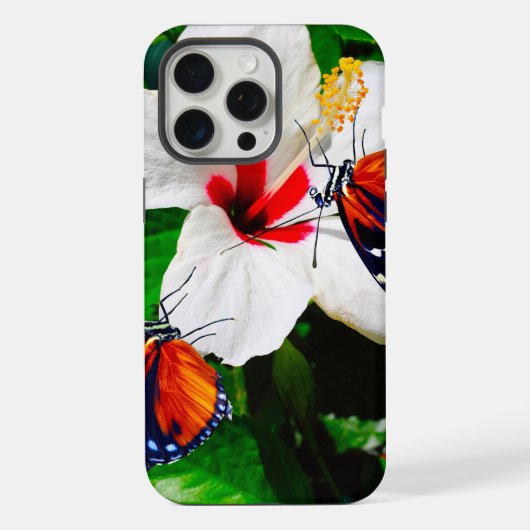 Fleur d'Hibiscus avec 2 papillons à ailes longues (Verso)