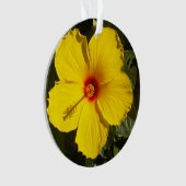 Fleur d'Hibiscus jaune (devant)