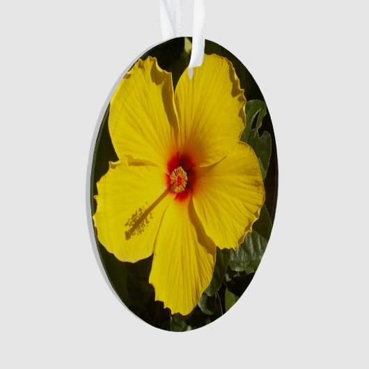 Fleur d'Hibiscus jaune (devant)