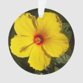 Fleur d'Hibiscus jaune (devant)