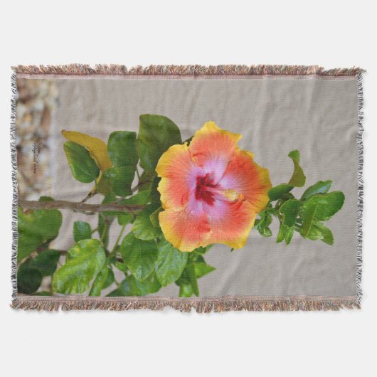 Fleur d'Hibiscus rose orange Jeter la couverture (Devant)