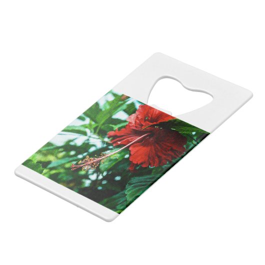 Fleur d'Hibiscus rouge (Devant Angle)