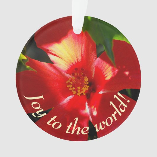 Fleur d'Hibiscus rouge au soleil (devant)