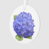 Fleur d'hortensia bleue (devant)