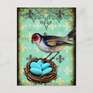 Fleur Di Lis Bird Nest Shabby Chic Briefkaart